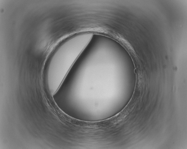 X0000082710628200701260956