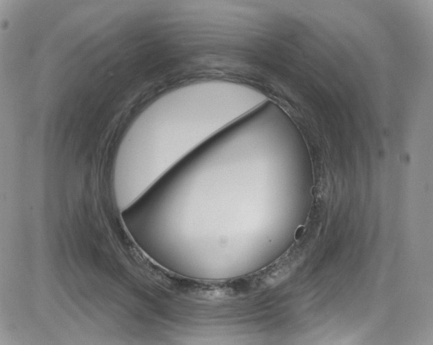 X0000082710646200701260956