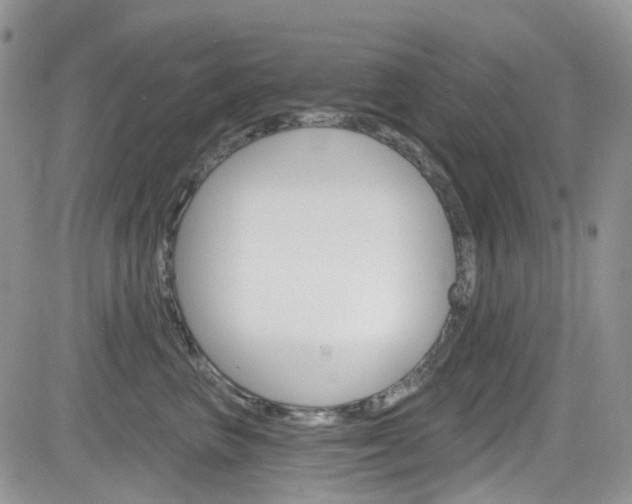 X0000082710667200701260956