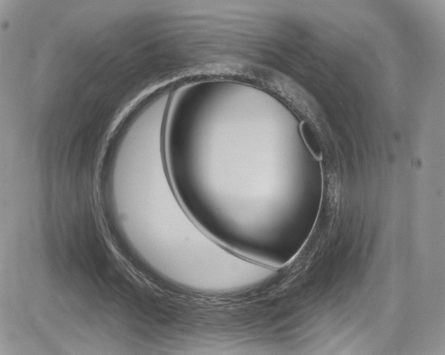 X0000082710676200701260956