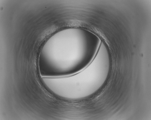 X0000082710681200701260955
