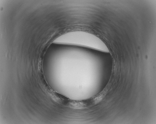 X0000082710712200701260955