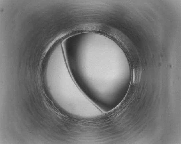 X0000082710723200701260954