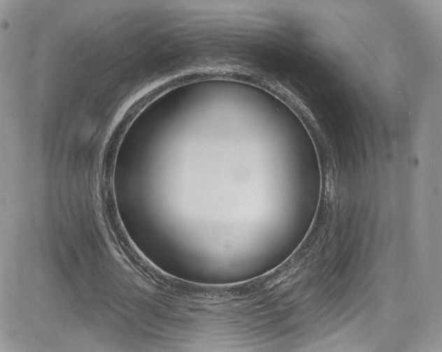 X0000082710724200701260954