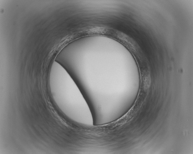X0000082710729200701260954