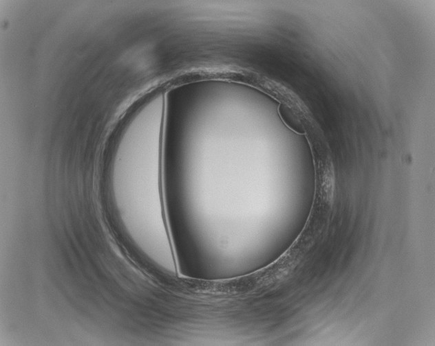 X0000082710732200701260954