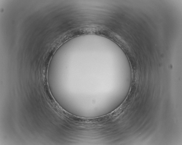 X0000082710737200701260954