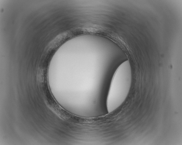 X0000082710738200701260954