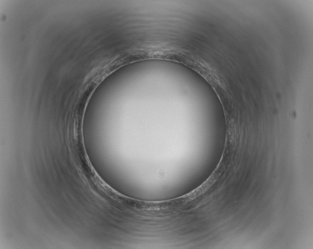 X0000082710740200701260954