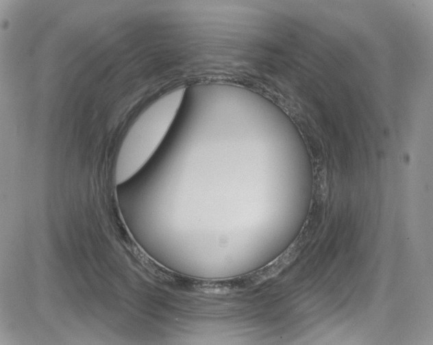 X0000082710746200701260954