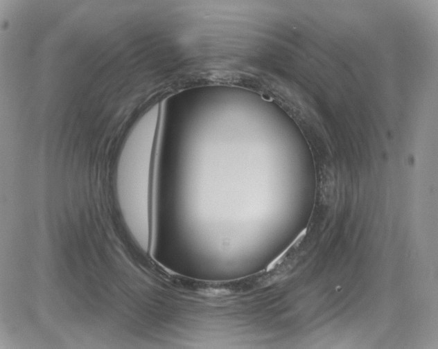 X0000082710748200701260954