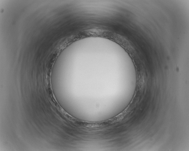 X0000082710749200701260954