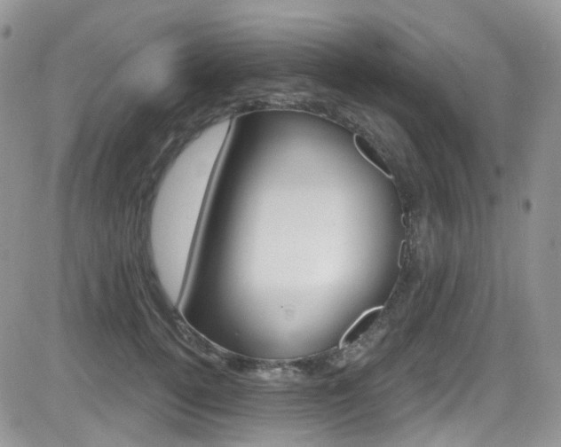 X0000082710752200701260955