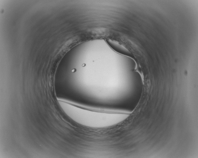 X0000082710756200701260955