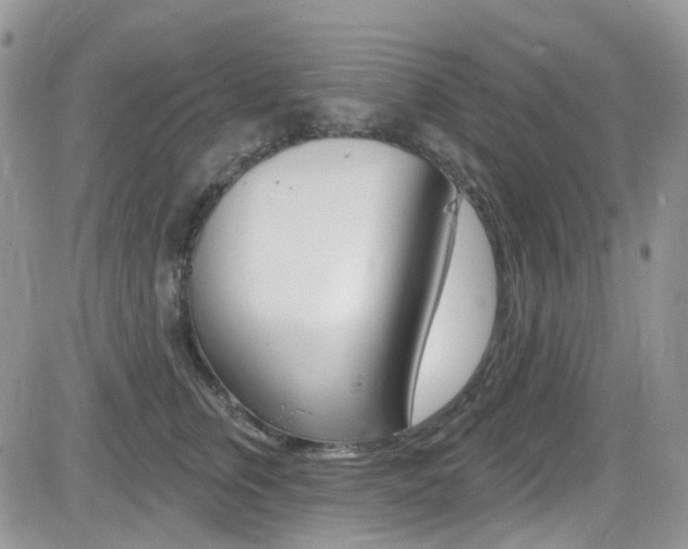 X0000082710759200701260955