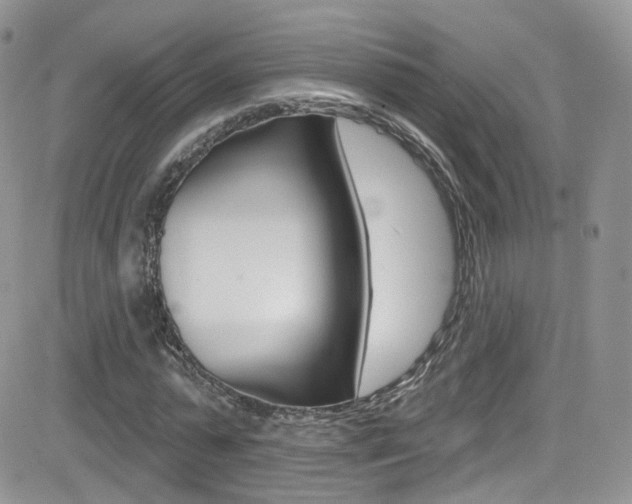 X0000082710775200701260954