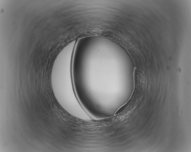 X0000082710818200701260952