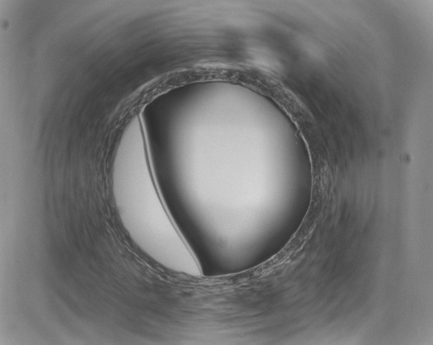 X0000082710821200701260953