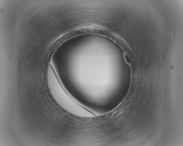X0000082710822200701260953
