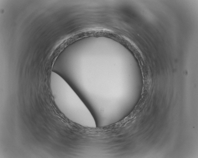 X0000082710823200701260953