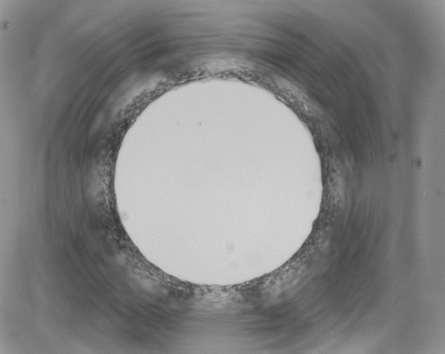 X0000082710824200701260953