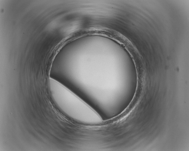 X0000082710825200701260953