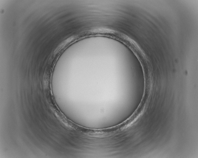 X0000082710833200701260953