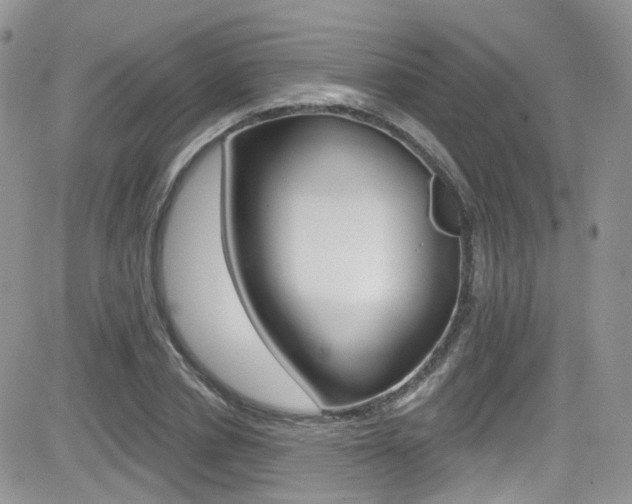 X0000082710834200701260953