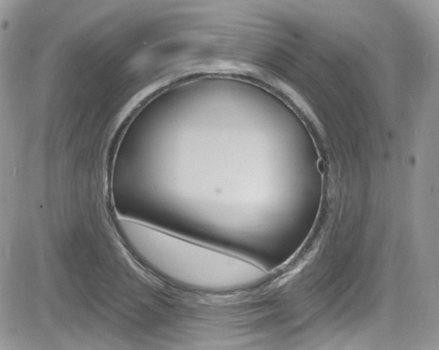X0000082710837200701260953