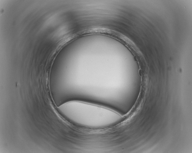 X0000082710841200701260953