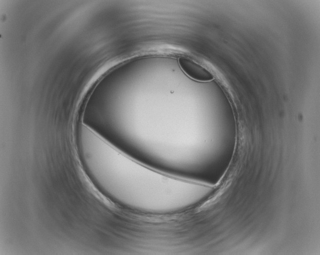 X0000082710843200701260953