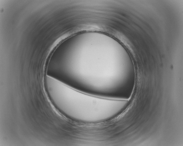 X0000082710845200701260953