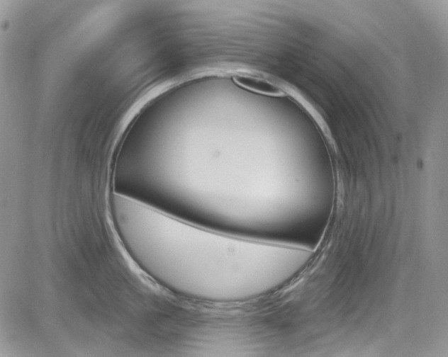 X0000082710861200701260953