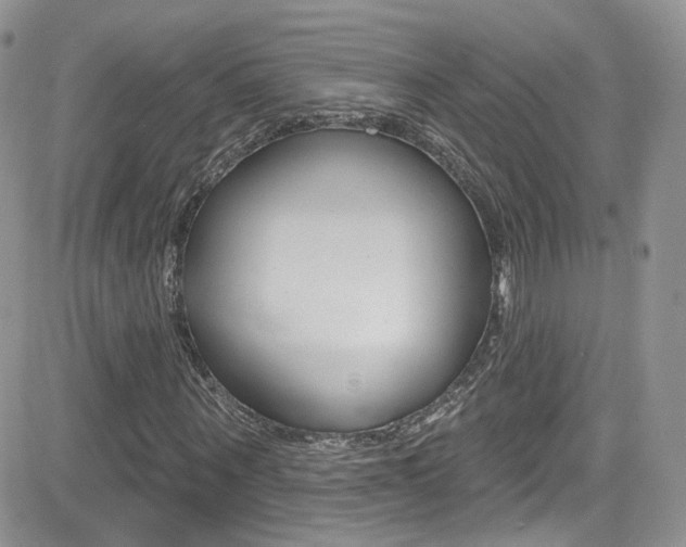 X0000082710867200701260952