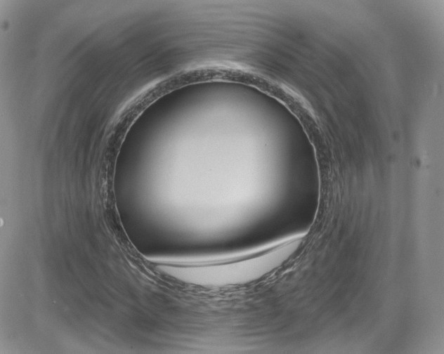 X0000082710872200701260952