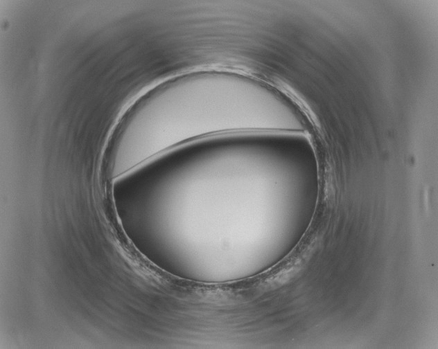 X0000082710876200701260952