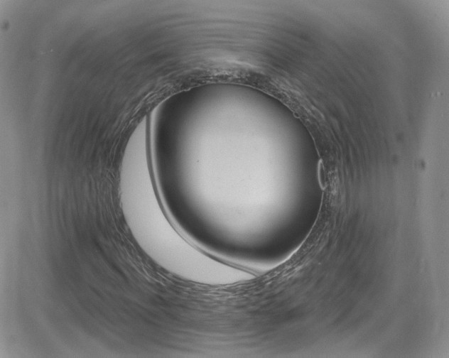 X0000082710916200701260951