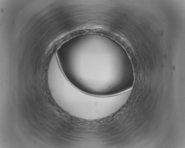 X0000082710920200701260951