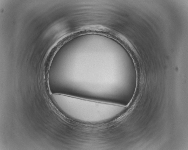 X0000082710923200701260951