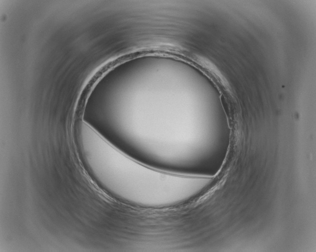 X0000082710924200701260951