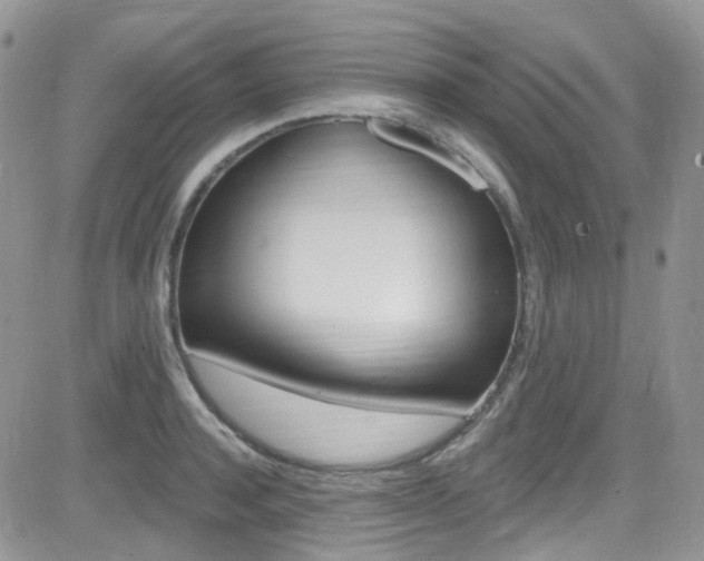 X0000082710944200701260951