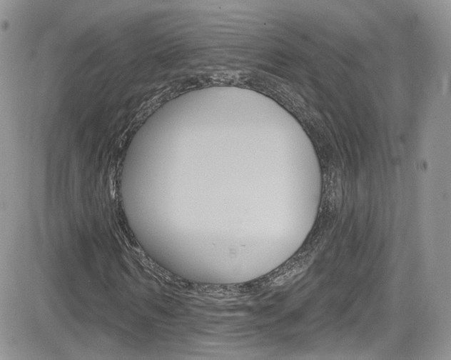 X0000082710962200701260951