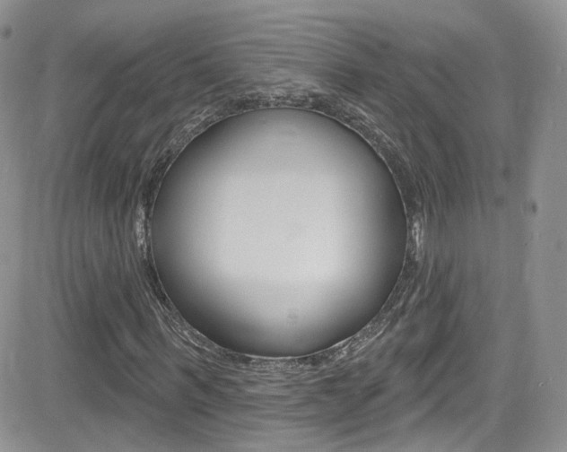 X0000082710963200701260951