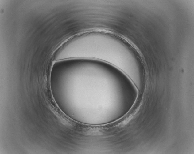 X0000082710969200701260951