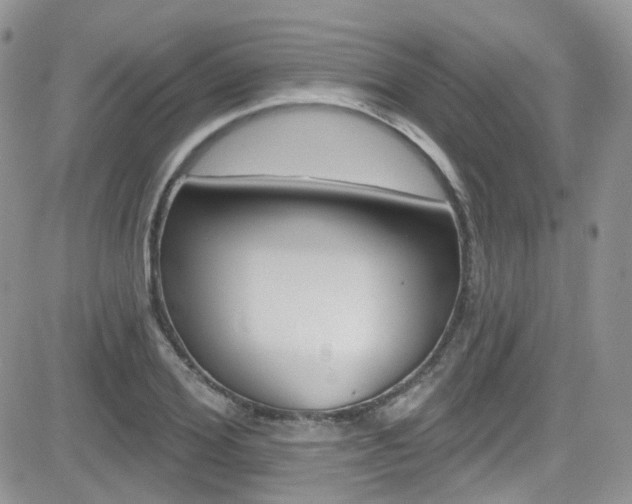 X0000082710980200701260951