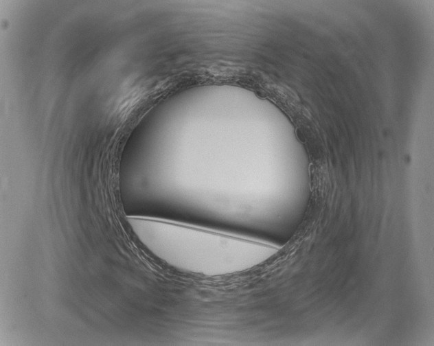 X0000082711009200701260949
