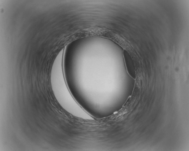 X0000082711010200701260949