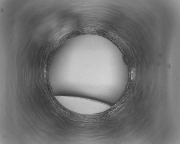 X0000082711011200701260949