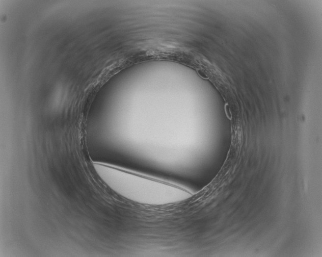 X0000082711012200701260949