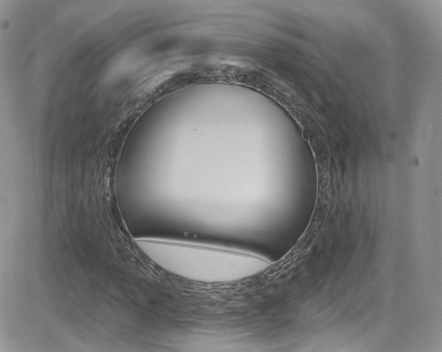 X0000082711013200701260949